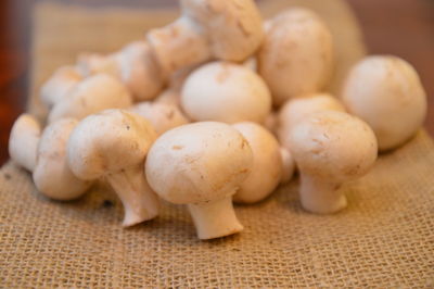 Close-up of eggs on table