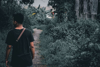 Rear view of man standing by plants in forest