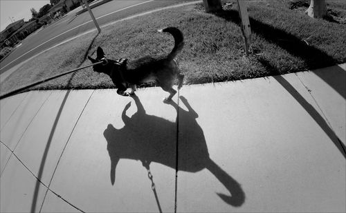 Shadow of woman on wall