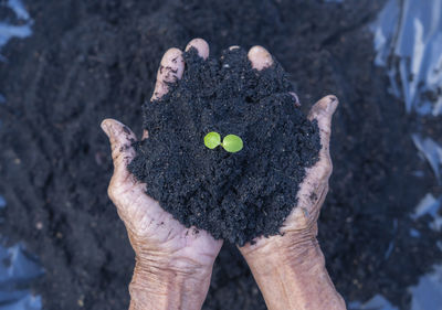 Cropped hand of woman holding heart shape