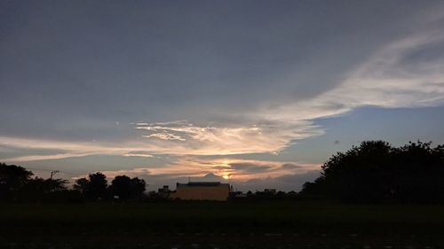 Silhouette trees on field against sky at sunset