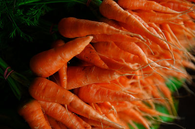 Close-up of carrots