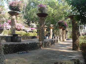 View of plants with trees in background