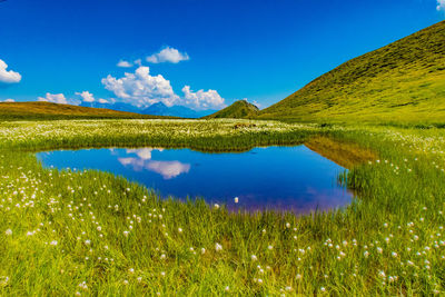 Scenic view of lake against blue sky