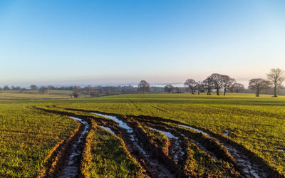 Scenic view of field against clear sky during sunset