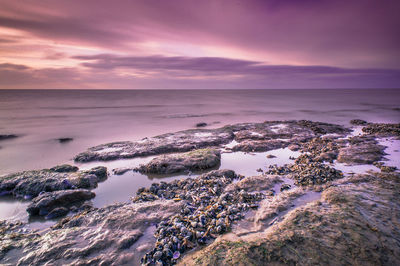 Scenic view of sea against sky during sunset