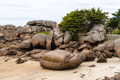 Rock formations in pink granite coast around perros-guirec in brittany, france