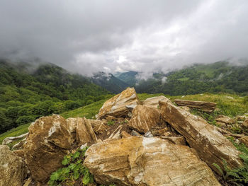 Scenic view of landscape against sky