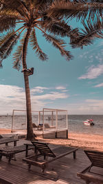 Palm tree by swimming pool against sky