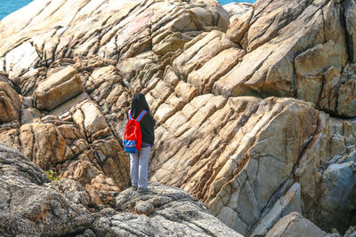 Rear view of person standing on rock