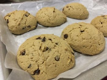 High angle view of cookies on tray