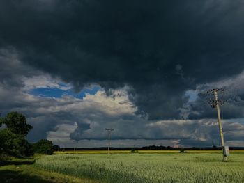 Scenic view of field against sky