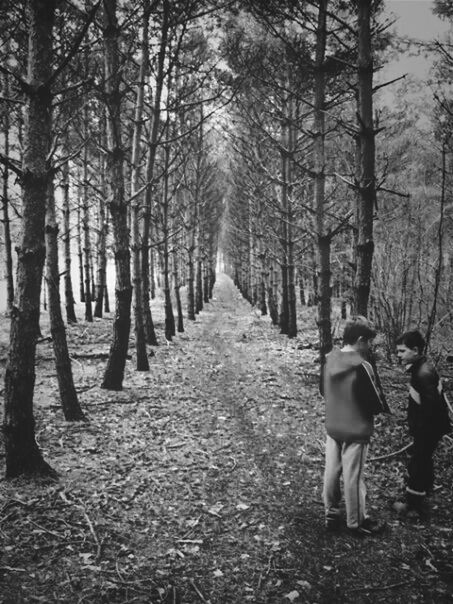 tree, the way forward, forest, tree trunk, lifestyles, rear view, leisure activity, diminishing perspective, walking, tranquility, full length, nature, woodland, vanishing point, growth, men, footpath, tranquil scene