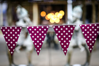 Close-up of polka dot buntings