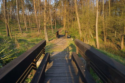 Footbridge amidst trees on landscape