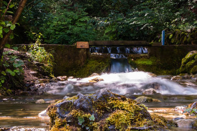 View of waterfall in forest