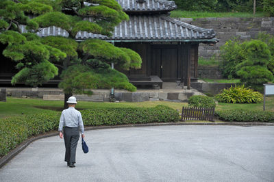 Rear view of man walking on road against trees