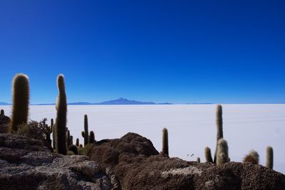 Scenic view of sea against clear blue sky