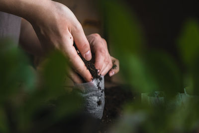 Close-up of woman hand holding leaf