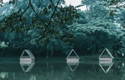 Reflection of trees in lake