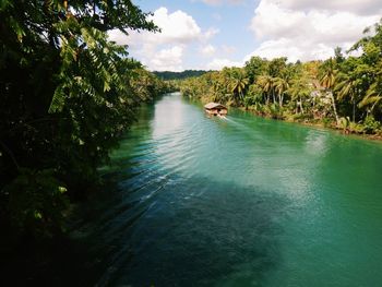 Scenic view of river amidst trees against sky