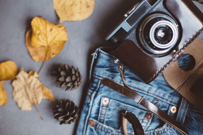 Directly above shot of camera with pine cones and dry leaves on jeans against gray background