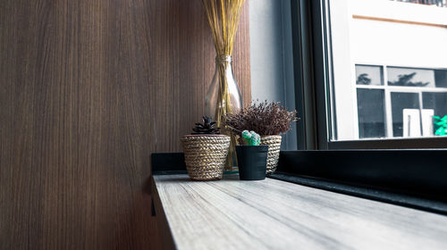 Potted plant on table at home