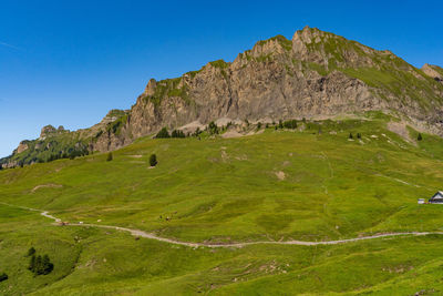 Scenic view of landscape against clear blue sky