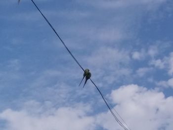 Low angle view of crane against sky