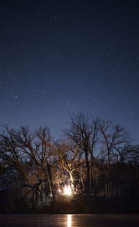 Scenic view of trees against sky at night