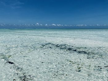 Scenic view of sea against blue sky