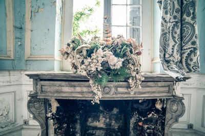 View of potted plant on window sill