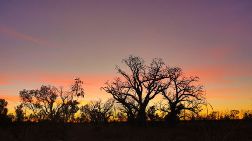 Silhouette trees against clear sky during sunset