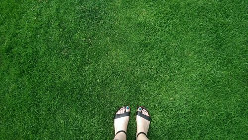 Low section of human legs on grass