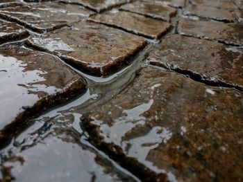 High angle view of puddle