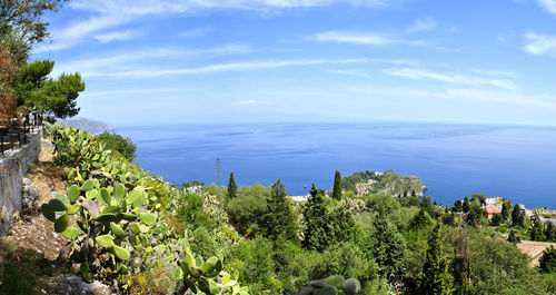 High angle view of trees and sea against sky