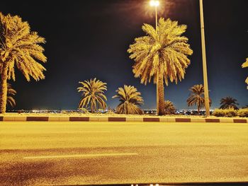 Palm trees on field against sky at night