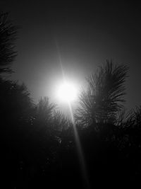 Low angle view of silhouette trees against clear sky