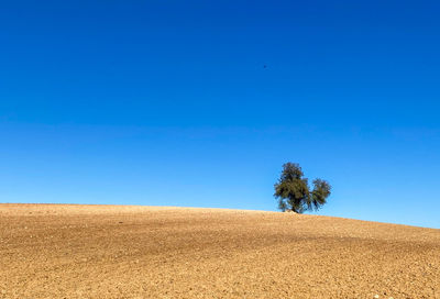 Scenic view of land against clear blue sky