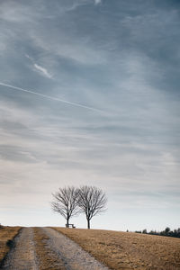 Bare tree on field against sky