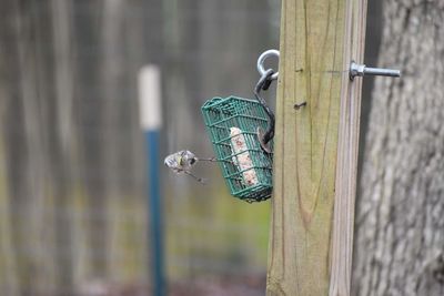 Close-up of praying hanging on metal fence