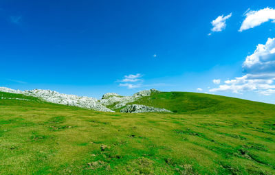 Landscape of green grass and rock hill in spring with beautiful blue sky and white clouds. 