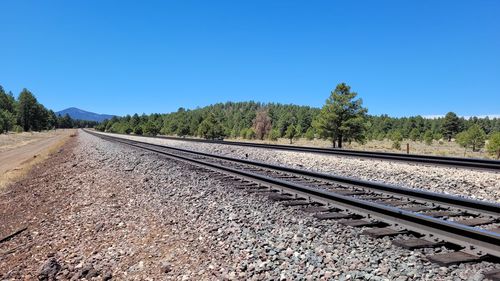 Railroad track amidst trees against clear blue sky