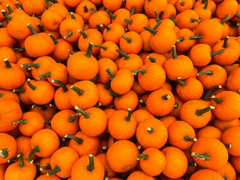 High angle view of pumpkins for sale at market stall