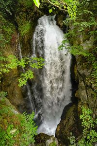 View of waterfall in forest