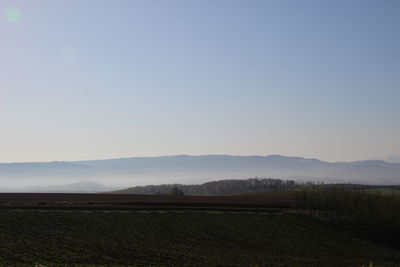 Scenic view of field against clear sky