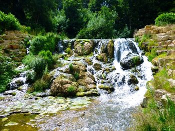 Scenic view of waterfall in forest