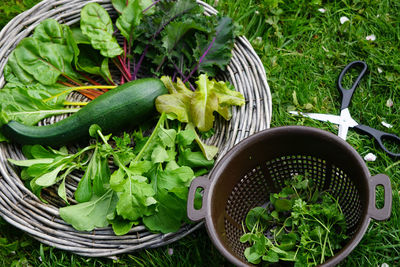 High angle view of vegetables