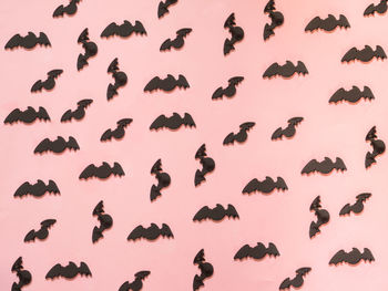Low angle view of birds flying