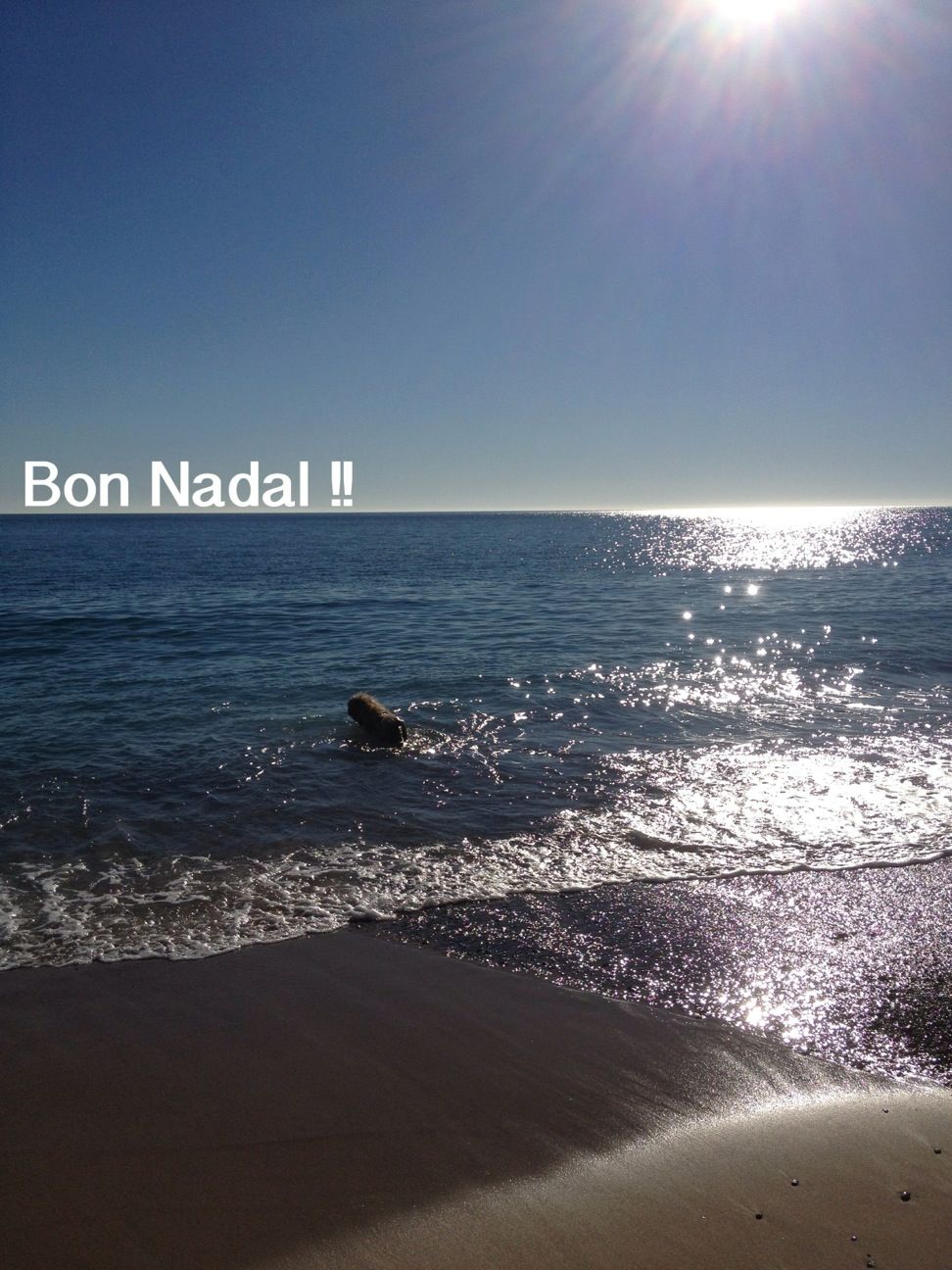 Bon Nadal Amics!